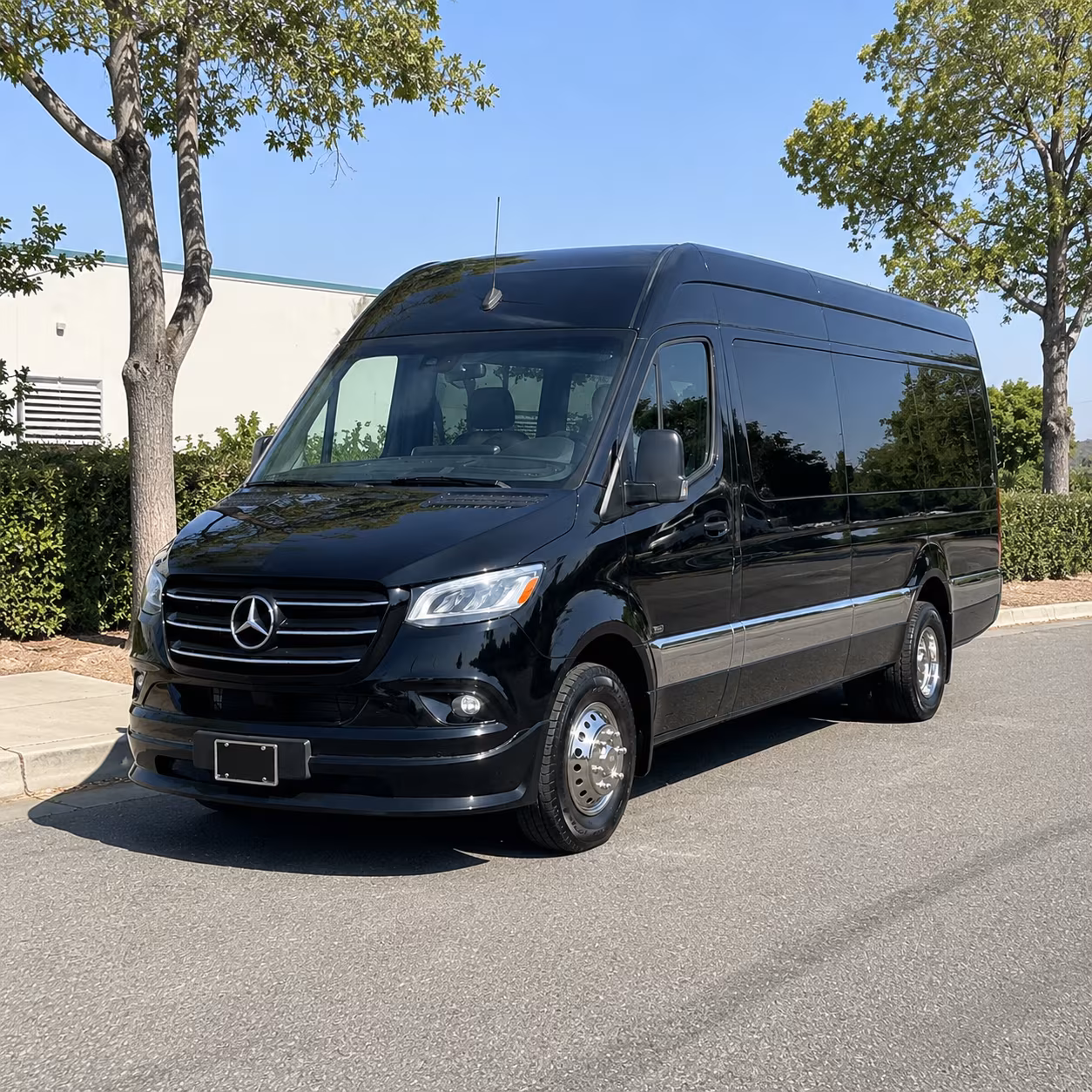 find the perfect transportation for your next birthday 4